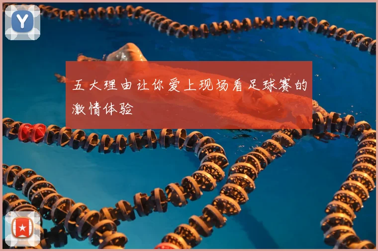 五大理由让你爱上现场看足球赛的激情体验